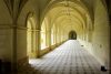 fontevraud abbey