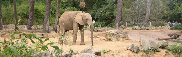 Zoo de la Flèche