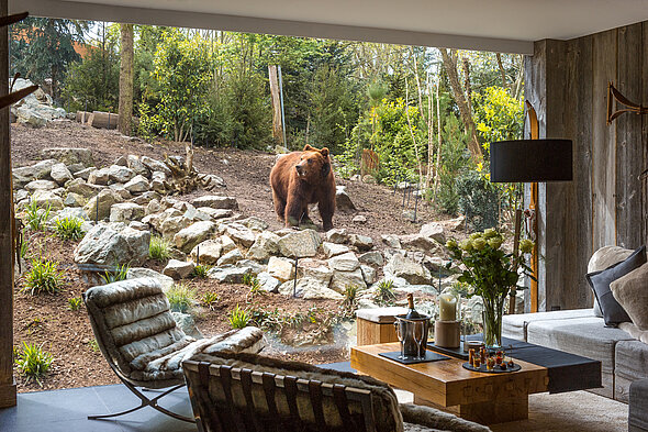 chateau de la loire - visite de la ville de tours street art tours a velo pres du camping