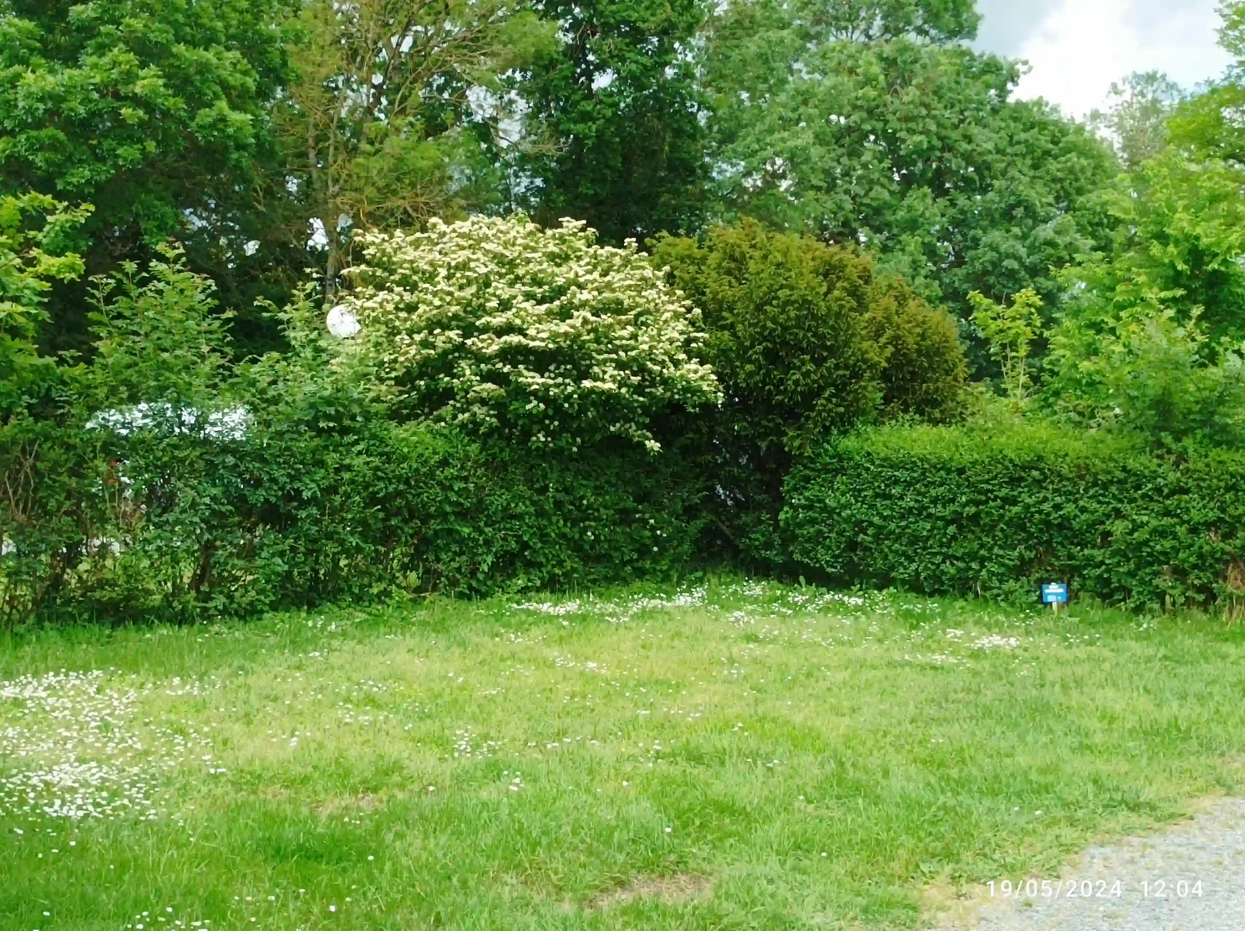 City tour of Tours: street art bike tour 