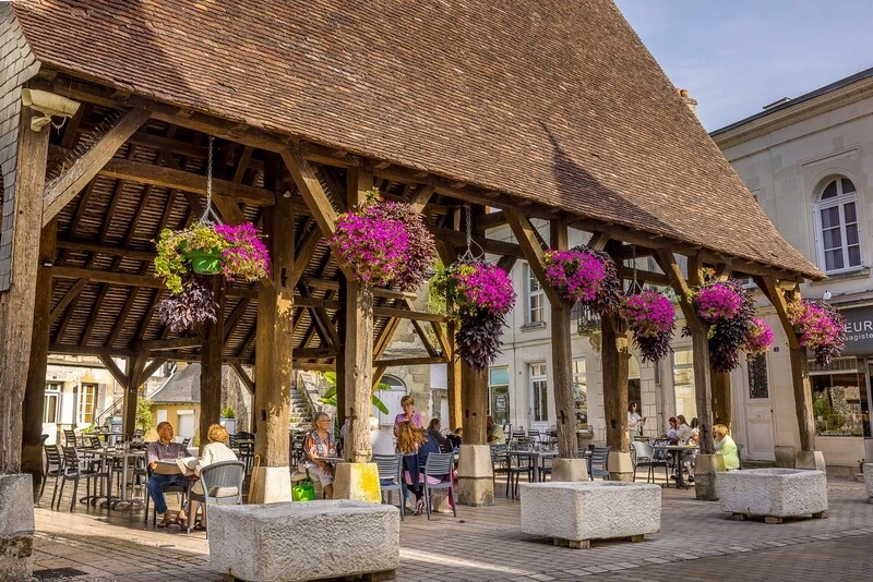 chateau de la loire - camping dans la vallée de la loire