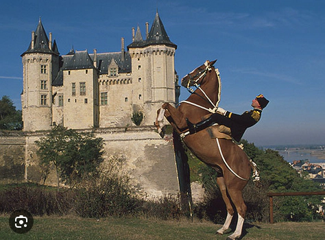 chateau de la loire - camping dans la vallée de la loire